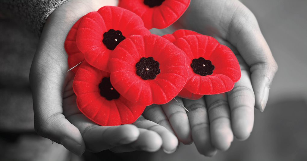 About Ketchikan Community Kitten Rescue